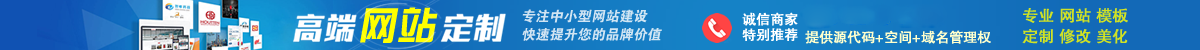上海网站建设公司